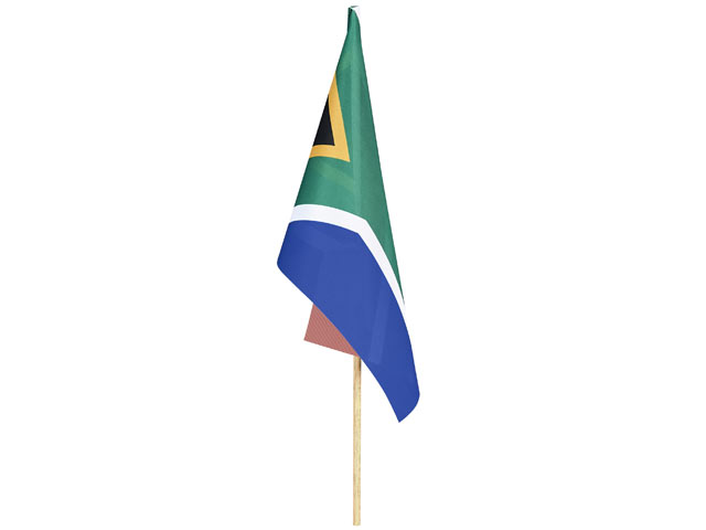 Champion Small Hand Flag 300 X 200Mm