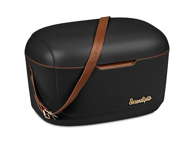 Serendipio Marina 12-Litre Cooler Box