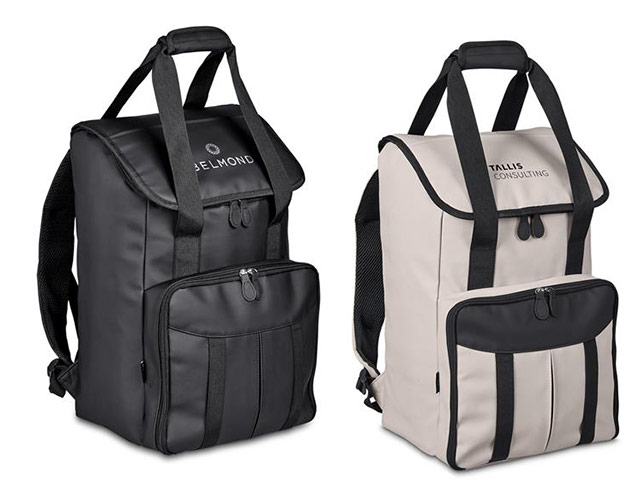 Andy Cartwright Cederberg 2-Person Picnic Backpack Cooler