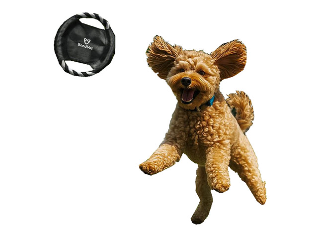 Altitude Catch Pet Frisbee