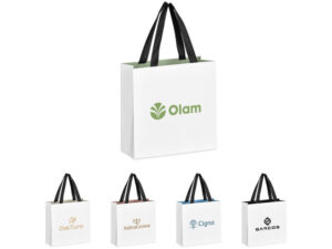 Altitude Galleria Mini Paper Gift Bag