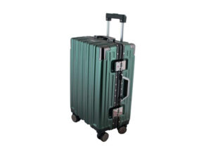 Trunk Check-In Luggage Bag-24-Inch
