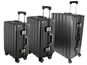 Trunk Luggage Set